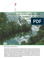 ANÁLISIS DE LA DEFORESTACIÓN EN TIEMPO CASI REAL || Policy Brief N°2