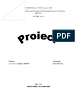 Standardul Iso 9001 Proiect