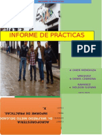 Informe de Practicas Agroforesteria Chachapoyas