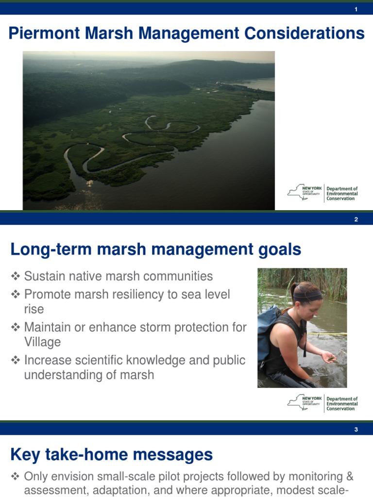 Blair Marsh Veg Management Considerations 061215 | PDF | Marsh ...