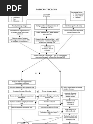 Systemic Lupus Erythematosus Pathophysiology Pdf Systemic Lupus Erythematosus Immune System