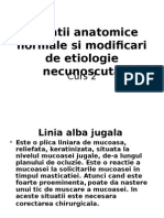Variatii Anatomice Si Leziuni Ale Mucoasei Curs2