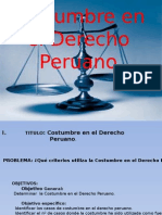 Costumbre en El Derecho Peruano - EXPONER