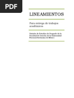 Lineamientos para Entrega Trabajos Academicos