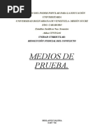 Medios de Prueba