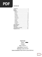 [D&D 5] Criação de Personagem