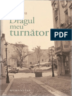 Dragul Meu Turnator PDF