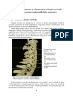 Capitolul 2 Anatomie Si Biomecanica