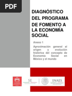 Concepto Economia Social Diagnostico Inaes