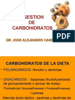 Digestion de Carbohidratos