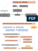 Concentracion de Orina