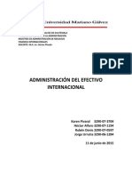 Administracion Del Efectivo Internacional