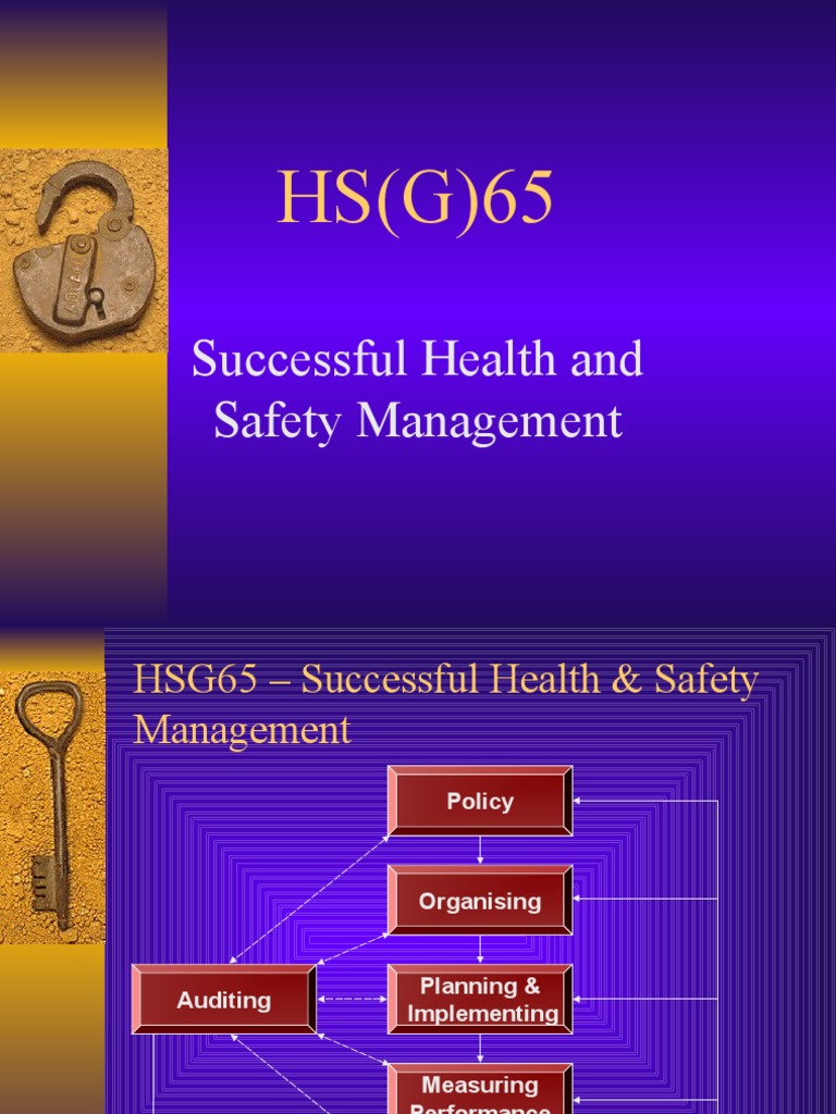 HSG65 Health and Safety Management Guide | PDF | Business