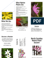 Brochure - First Draft