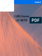 CAMEL Overview LZU 108 5718