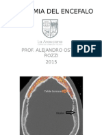 2015 ANATOMIA DEL ENCEFALO, ppt IPLA.ppt