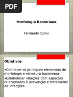 Morfologia bacteriana