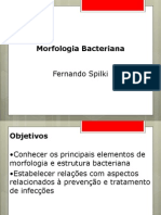 Morfologia bacteriana