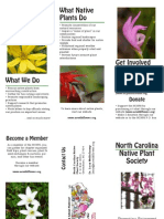 Brochure - Final Draft