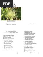 Roberval Raulino - O Verbo Amar - Folha Usada