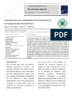Determinación Del Metabolismo de Pseudomona Sp. en La Degradacion Del Polietileno