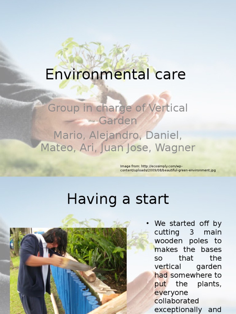 Vertical Garden Project Overview | PDF | Botany | Landscape