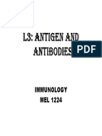 L3 Antigen and Antibodies
