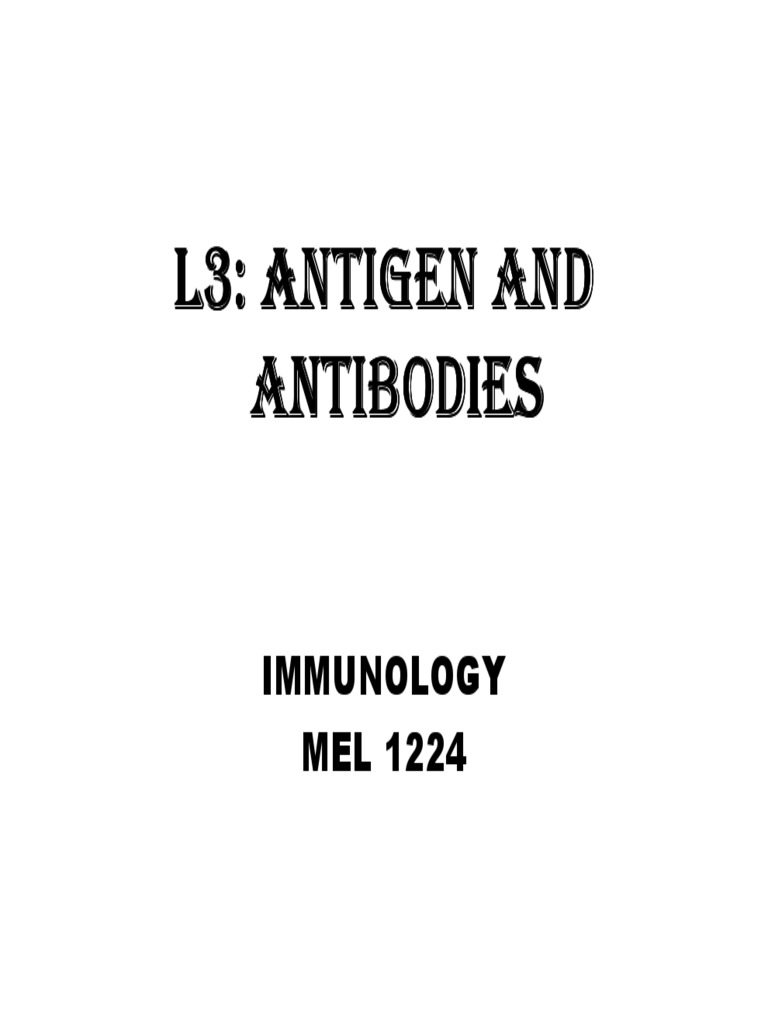 L3 Antigen and Antibodies PDF Antibody Antigen
