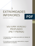 Extremidades Inferiores Venas