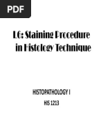 L6 Staining Procedure in Histology Technique