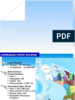 Permasalahan dan Kebutuhan Implementasi RTR Provinsi Papua