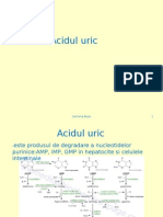 Acidul Uric