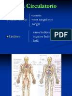 Sistema Circulatorio 2015