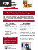 Download Canine Blood Donor Requirements by Mount Laurel Animal Hospital SN268939366 doc pdf