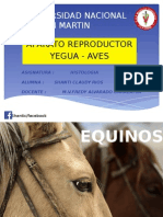 Aparato Reproductor de Yegua y Aves