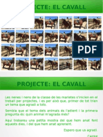 Projecte Cavall