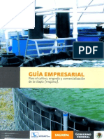 GuiaEmpresarialTilapia.pdf
