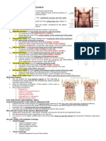 Abdomen