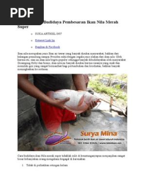Analisa Usah Budidaya Pembesaran Ikan Nila Merah Super Pdf