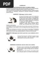 Exercícios Glândulas Gudjierf