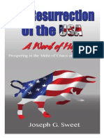 Resurrection of The USA by Joe Sweet