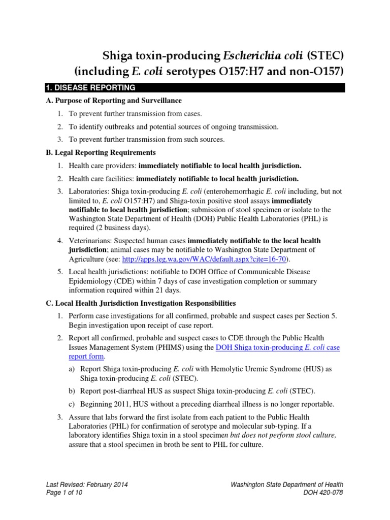 420 078 Guideline STEC | PDF | Escherichia Coli | Medicine