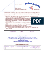 Primul Razboi Mondial - Proiect de Lectie