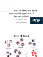 Normal Hematopoesise