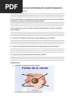 Guía Ciencias Naturales Quinto Basico A