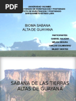 Tepuyes de Venezuela