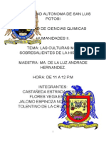 Culturas Documento