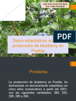 Datos Estadísticos Sobre La Producción de Blueberry