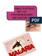 Historia Natural de La Malaria, Dengue