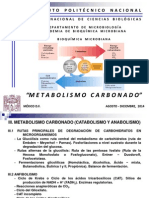 Metabolismo Carbonado 